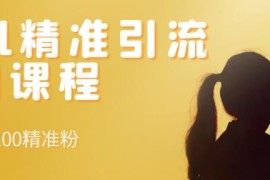  soul精准引流系列课程，每天引流100精准粉