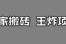 百家最新搬运玩法，有流量就有收益，单号月入5000+