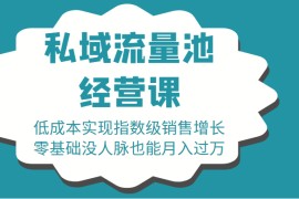  16堂私域流量池经营课：低成本实现指数级销售增长，零基础没人脉也能月入过万