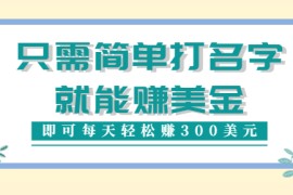 只需在网上输入一个单词或者名字就能赚钱，一天可以赚300美元