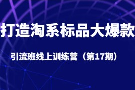 打造淘系标品大爆款引流班线上训练营（第17期）5天直播授课+1个月答疑