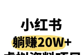 小红书操作虚拟资料，搬运工模式躺挣20W+，互联网的低成本路子！