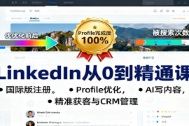 LinkedIn从0到精通课：国际版注册，Profile优化，AI写内容，精准获客与CRM管理
