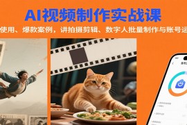 AI视频制作实战：含工具使用、爆款案例，讲拍摄剪辑、数字人批量制作与账号运营变现