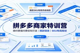 拼多多商家特训营：微付费强付费切车打法，爆款链接，SKU布局规划