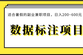 数据标注项目：适合暑假的副业兼职项目，日入200~600元