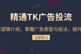 精通TK广告投流：底层逻辑介绍，掌握广告类型与投法，提升效果