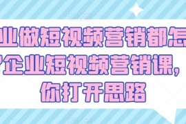 企业做短视频营销都怎么玩？企业短视频营销课，帮你打开思路