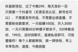 抖音新项目，一天稳赚100+，亲测有效，新手可干【付费文章】