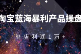 淘宝蓝海暴利产品操盘教程：从零到单店利润10000+详细实操