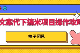 文案代下搞米项目操作方案，只要肯吃苦新手也能日入300+
