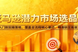 亚马逊从0到1选品课，新手入门到实操落地，覆盖全流程核心要点，精准锁定高潜力市场