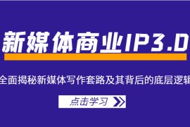  新媒体商业IP3.0，全面揭秘新媒体写作套路及其背后的底层逻辑（价值1299元）