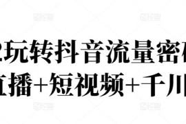 玩转抖音流量变现密码，直播运营技巧、电商主播成长记(直播+短视频+千川)