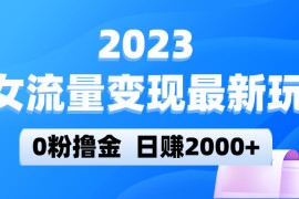 美女流量变现最新玩法，0粉撸金，日赚2000+，实测日引流300+