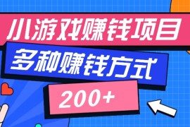 零撸项目，可长期操作，新人小白半小时学会，多种赚钱方式，一天200+