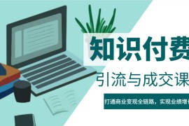 IP合伙人知识付费虚拟项目，引流与成交课程，打通商业变现全链路，实现业绩增长！