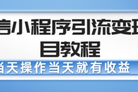 微信小程序引流变现项目教程，当天操作当天就有收益，变现不再是难事