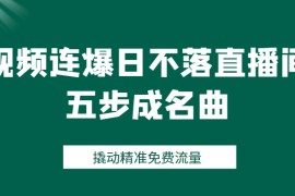 视频连爆日不落直播间五步成名曲，撬动精准免费流量（价值1980元）