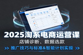 2025淘系电商运营课：店铺诊断、数据选款，推广技巧与标准智能计划实操