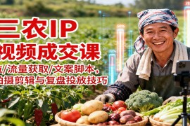 三农IP短视频成交课：定位/流量获取/文案脚本，掌握拍摄剪辑与复盘投放技巧