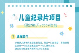 利用信息差操作冷门暴利项目，儿童纪录片合集，稳定月收入1000+【视频教程