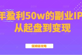 某公众号付费文章：年盈利50w的副业IP从起盘到变现的保姆级攻略