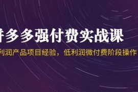 拼多多强付费实战课-44期，高利润产品项目经验，低利润微付费阶段操作