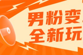 男粉落地项目落地日产500-1000，高客单私域成交 小白上手无压力