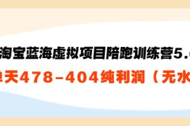 淘宝蓝海虚拟项目陪跑训练营5.0：单天478纯利润