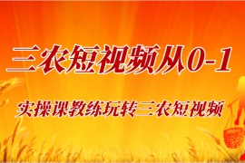 《三农短视频从0-1》30节实操课教练玩转三农短视频