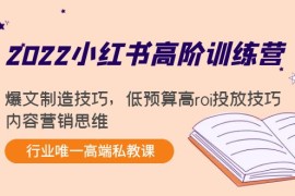 小红书高阶训练营：爆文制造技巧，低预算高roi投放技巧，内容营销思维