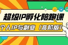  超级IP孵化陪跑课：个人IP与副业（高阶版）41节课