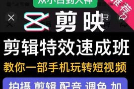 剪映剪辑特效速成班：教你一部手机玩转短视频，提供上千款特效素材