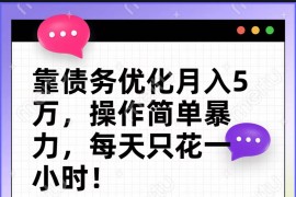 靠债务优化，月入5万，操作简单，多种变现方式，小白必入！