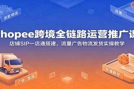 Shopee跨境全链路运营推广课：店铺SIP一店通搭建，流量广告物流发货实操教学