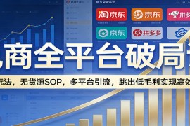 电商全平台破局课：全域玩法，无货源SOP，多平台引流，跳出低毛利实现高效盈利