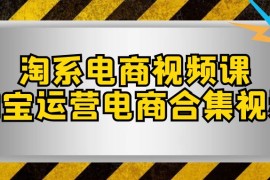 淘系电商视频课，淘宝运营电商合集视频（33节课）