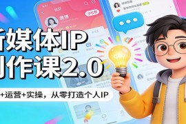 新媒体IP创作课2.0：定位+运营+实操，从零打造个人IP