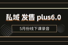 私域发售plus6.0【5月份线下课录音】/全域套装sop流程包，社群发售工具套装模型