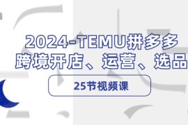 2024TEMU拼多多跨境开店、运营、选品（25节视频课）