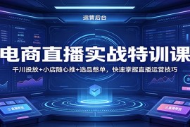 电商直播实战特训课：千川投放+小店随心推+选品憋单，快速掌握直播运营技巧