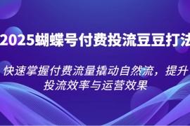 2025蝴蝶号付费投流豆豆打法，快速掌握付费流量撬动自然流，提升投流效率与运营效果