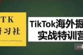 TK研习社·TikTok海外掘金实操特训营