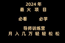 导师训练营互联网最牛逼的项目没有之一，新手小白必学，月入3万+轻轻松松