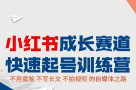小红书成长赛道快速起号训练营，不露脸不写长文不拍视频，0粉丝冷启动变现之路
