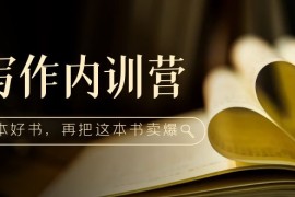 写作内训营：百万级大佬教你如何写一本好书，再把这本书卖爆