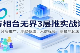 万相台无界3层推实战课：分层推广，测款截流，人群标签，高投产起店