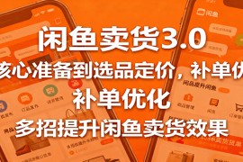 闲鱼卖货3.0，从核心准备到选品定价，补单优化，多招提升闲鱼卖货效果