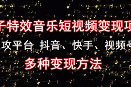 《粒子特效音乐短视频变现项目》主攻平台 抖音、快手、视频号 多种变现方法